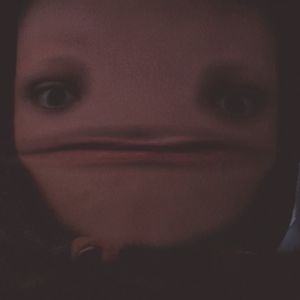 Meet your Posher, Phillip